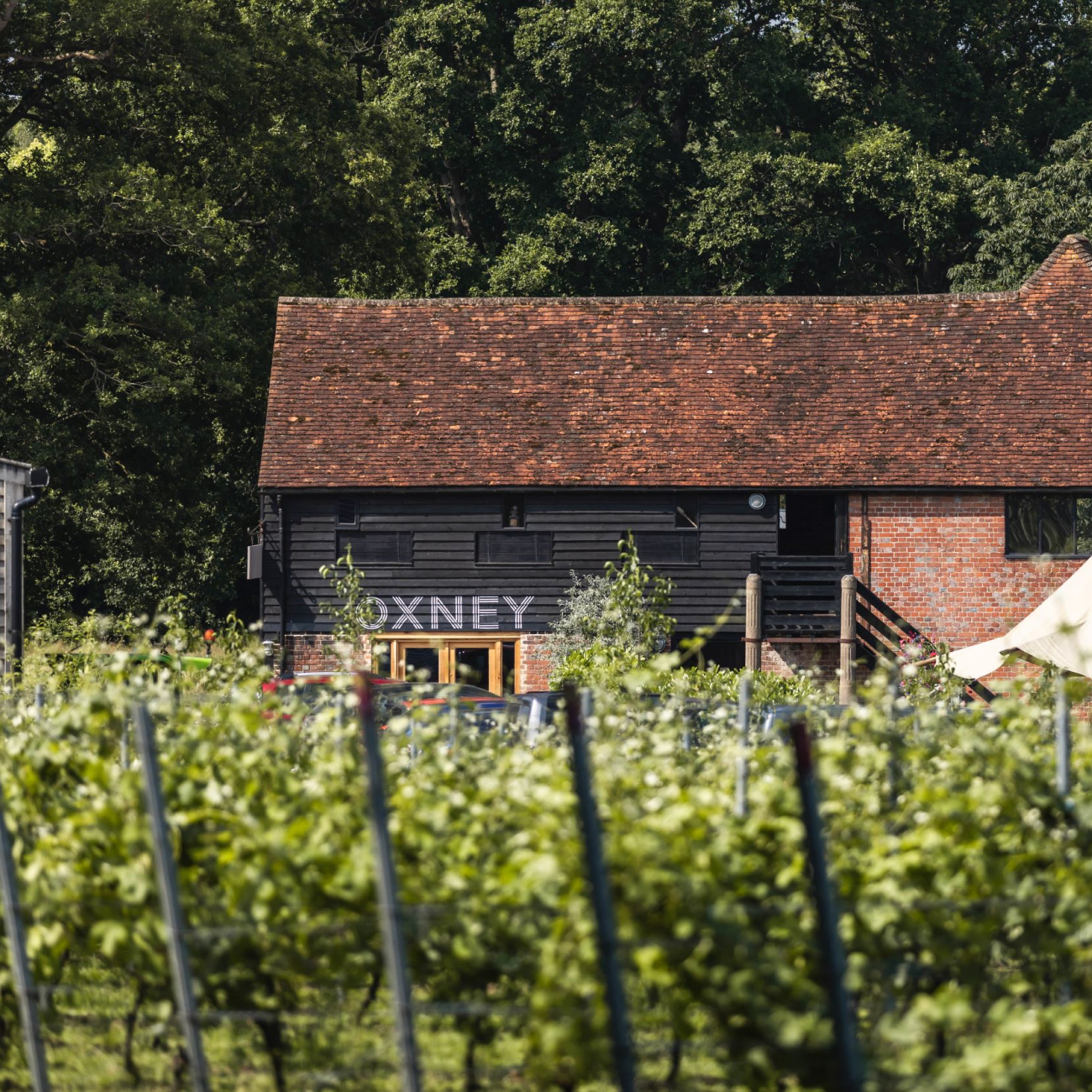 Wooden building with 'OXNEY' branding in a vineyard setting