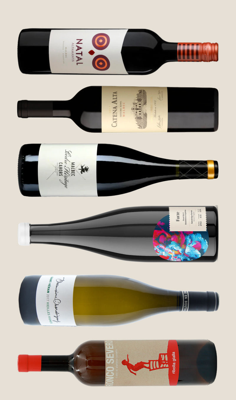 Collection of six wine bottles with various labels on a beige background