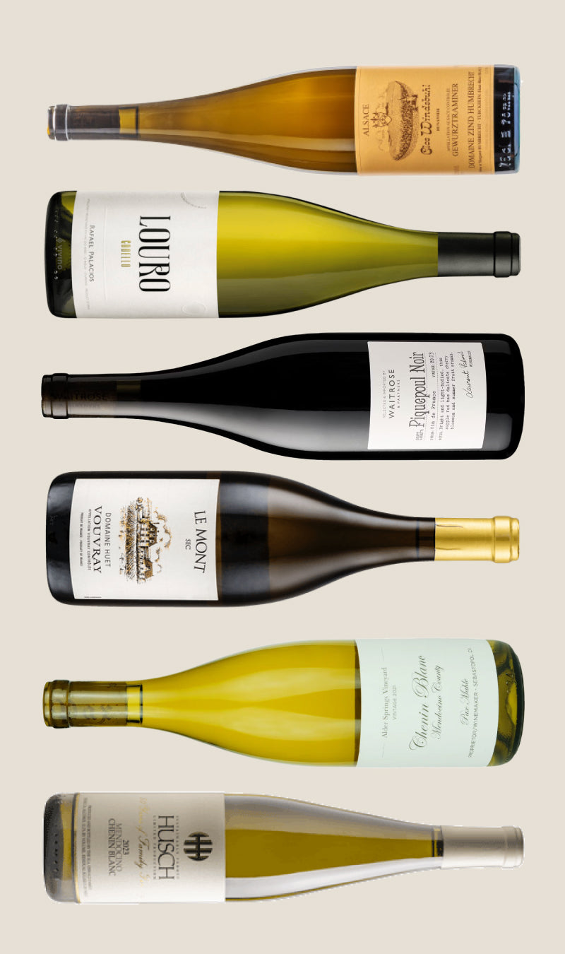 Collection of wine bottles with various labels on a beige background