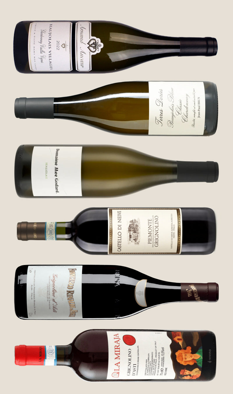 Collection of wine bottles with labels on a light beige background