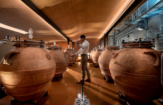 A Wine Maker’s Guide to the Cape Winelands, South Africa: Wine, Design & Innovation