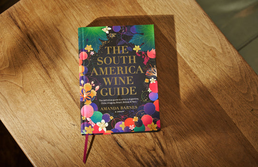 The Master of Wine’s Guide to Chilean Varieties & Premium Preservation